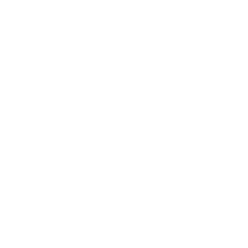 Business Mentoring